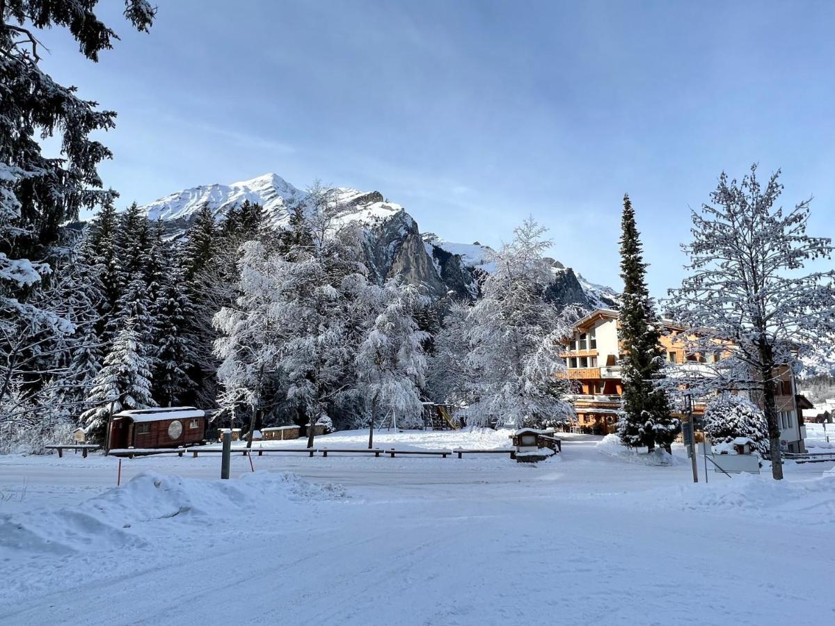 Typically Swiss Ermitage Hotel 3*